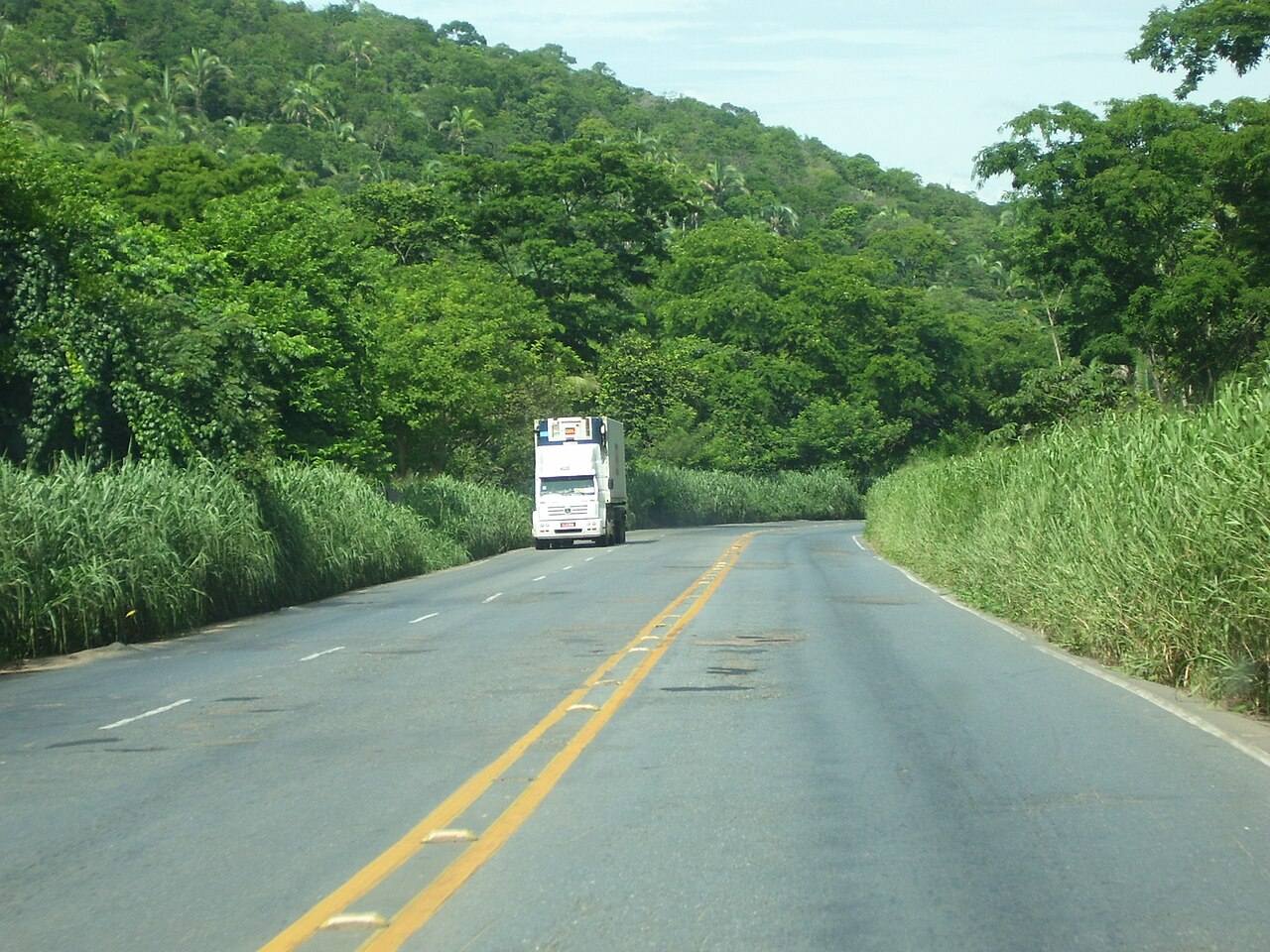 Rodovia brasileira cercada de vegetação, com caminhão ao fundo